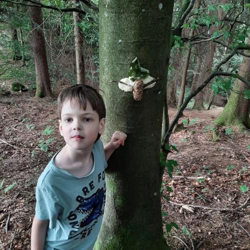Bild 2