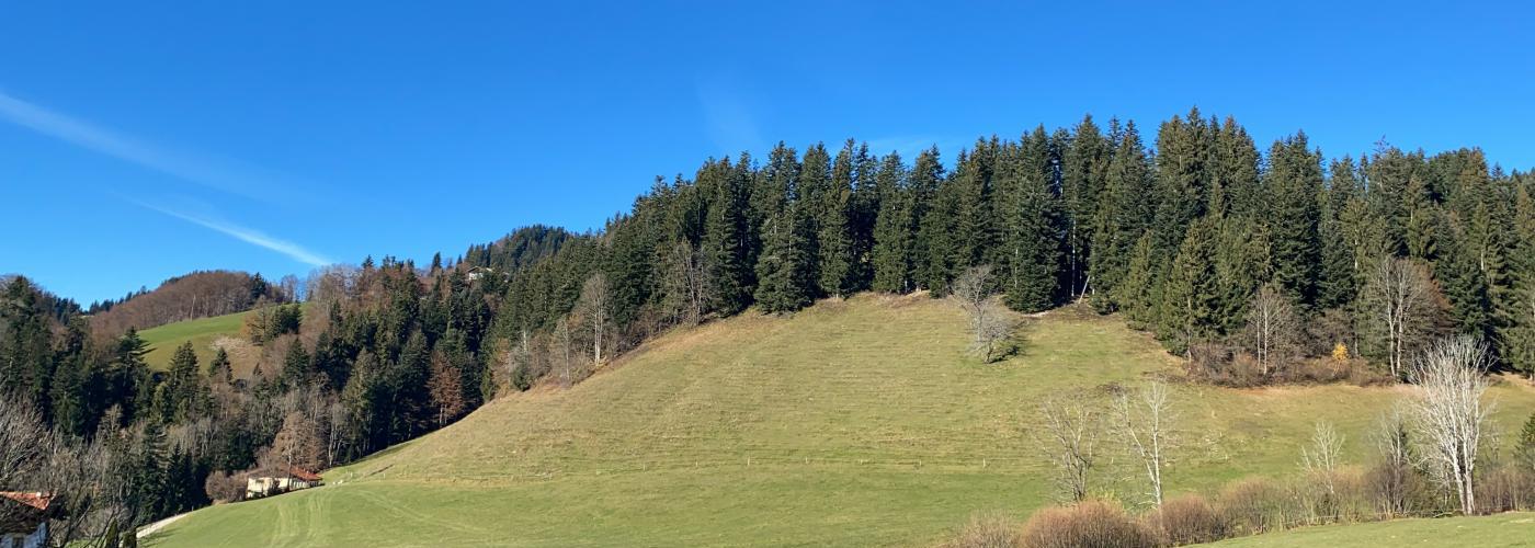 Ausblick2